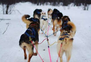 maputi career guidance